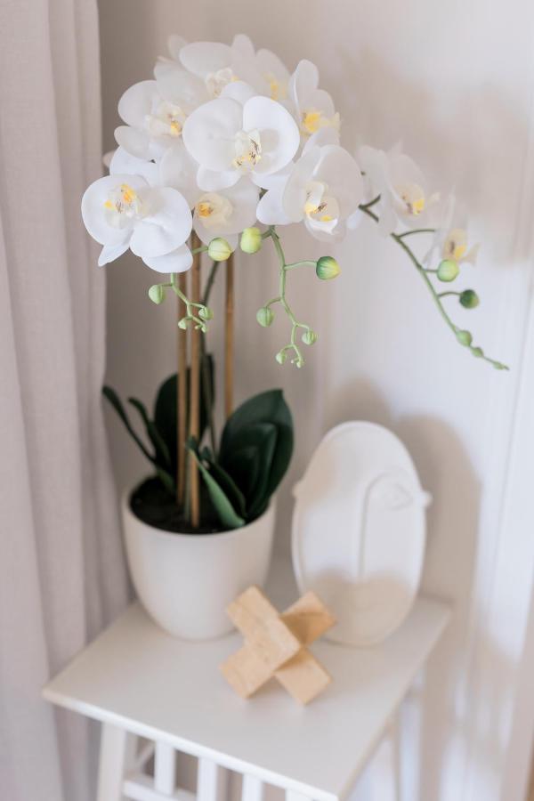 Studio 26: Central, Hampton'S Poolside Hideaway Coffs Harbour Exteriör bild